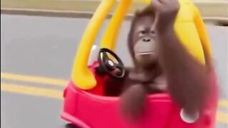 When u meet ur friends