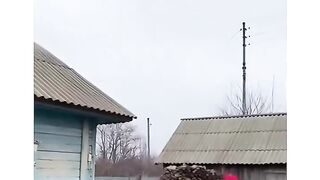 Who say chicken cant fly chiken