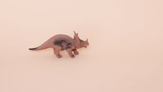 Baby Toys - a person putting down dinosaur toys | Trending HD Video