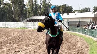 Action figure - a jockey rides a horse on a dirt track | Trending HD Video