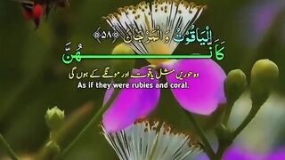 Heart touching voice Tilawat e Quran paak