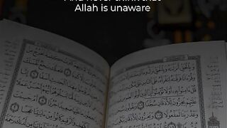 Quran paak Tilawat