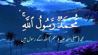 Very heart touching Tilawat e Quran paak