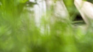 Animal breed - id | Trending HD Video