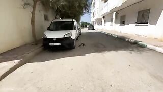 A very friendly calico cat that just likes to relax and be alone.