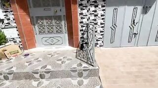 A very cute mother cat wants to get food so she can produce milk for her kittens.