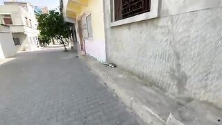 This friendly spotted cat needs lots of love and attention.