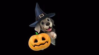 Funnyfuzzy - id | Trending HD Video