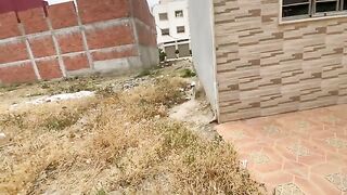 Feeding the cute Siamese cat and his shy friends delicious food.