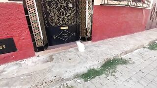 A very beautiful white cat, but she doesn't like to be cuddled. All she wants is food.
