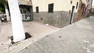 A very friendly white cat who wants some attention and delicious food.