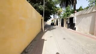 Two cute kittens want food and attention, and the Siamese cat needs treatment.