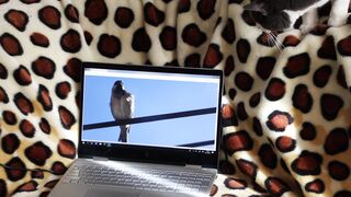Funnyfuzzy - id | Trending HD Video