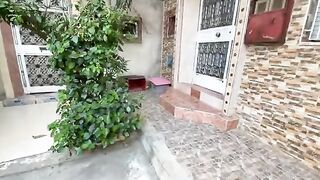 Mama cat takes her kittens away from us after we play with them a little.