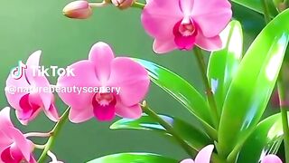 Nature beautiful scenery