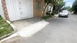 Very cute stray cats asking us for love and food to satisfy their hunger.
