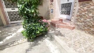 A mother cat attacks other kittens to protect her kittens.