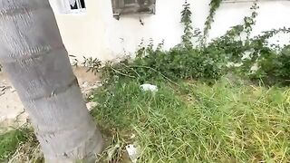 The mother cat and her kitten are asking for food in a very cute way.