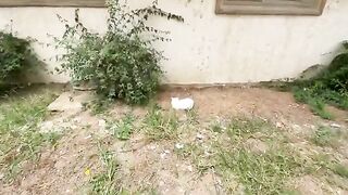 The cute cat was shy at first, but as we approached, she became more trusting of us.