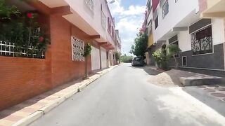 Cute stray cats follow me to the car to get the delicious food they love.