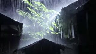 See more information