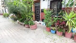 The ginger cat wakes up and is surprised by the attention and delicious food.