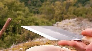 Butterfly chiken and sauce tartar