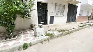 This family of cats is very sweet and just wants love and food.