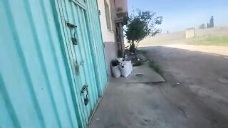 Treat, feed and play with the mother cat and her cute kittens.