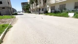 We came to this cat to give her medicine so that she would get better and become healthy.