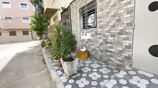 We fed and played with this cute family of cats.