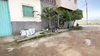 The cat family is very sweet. They want love and food.