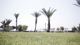 Notes on Being a Man - a shirtless man doing acrobatics on grass | Trending HD Video