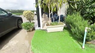 The cat likes to get food but without being touched