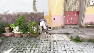 The mother cat attacks us because she is afraid for her kittens.