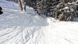 Action figure - epic winter skiing adventure through snowy forest | Trending HD Video
