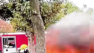 Firefighters