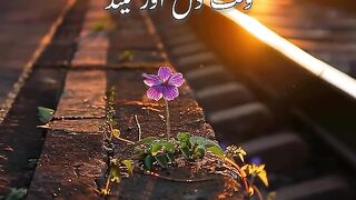 Waqt Dil or nind