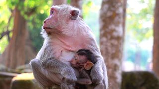 BabyBj rn - id | Trending HD Video