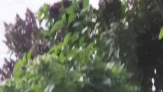 Inside ksa