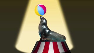 Funnyfuzzy - id | Trending HD Video