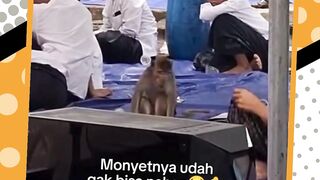 ????:Yang ada dulu aja ????