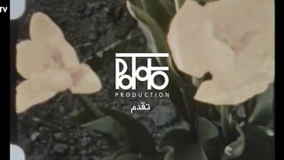مسلسل امور عائليه الحلقه 8