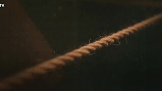 مسلسل وجب القضاء الحلقه 9