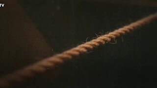 مسلسل وجب القضاء الحلقه 10