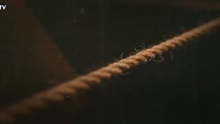 مسلسل وجب القضاء الحلقه 11