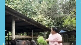 Sapinya diem saja brarti sudah muak itu????