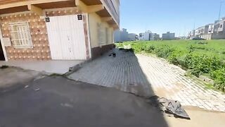The one-eyed cat came to me to tell me that she was hungry.