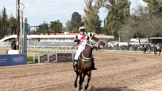 Action figure - a horse race is being held on a dirt track | Trending HD Video