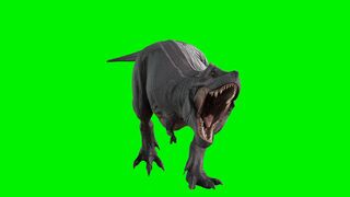 Animal - id | Trending HD Video